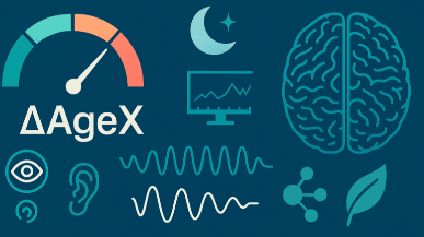 ΔAgeX란 무엇인가 — 디지털 노화 시대의 기능성 생체나이 나침반